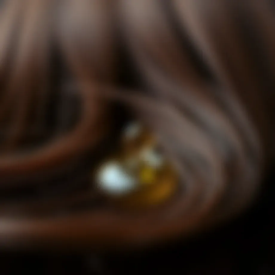 Nourishing drop of argan oil on wet hair