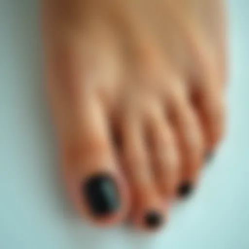 Elegant Black Nail Polish on a Pedicure Elegant black nail polish on a pedicure