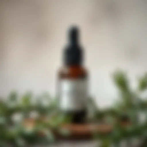 Exploring the Benefits of Rosemary Oil Benefits of rosemary oil