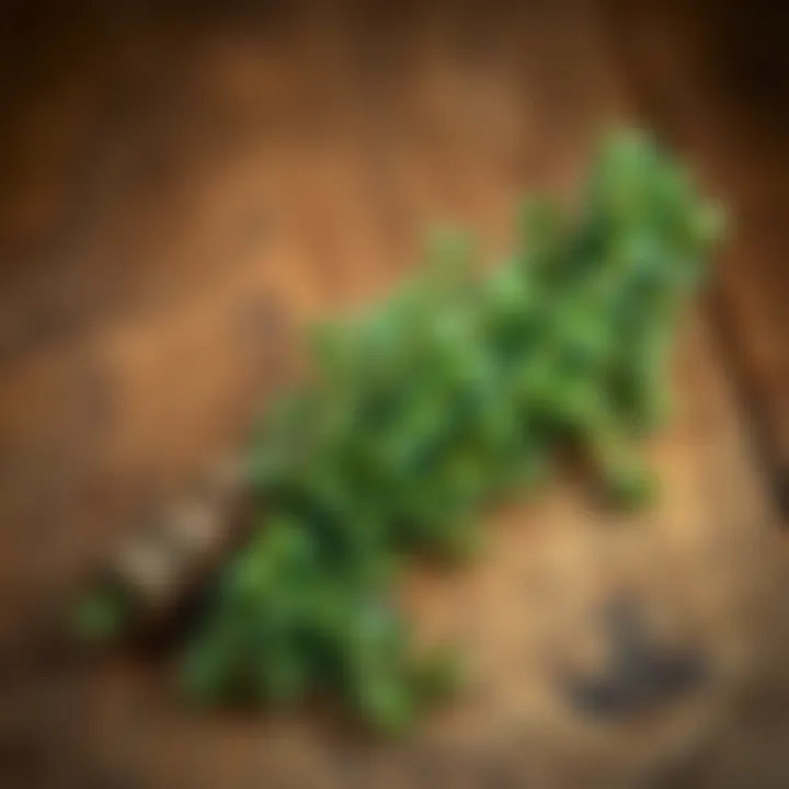 Fresh rosemary sprigs arranged artfully on a wooden surface