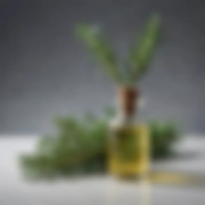 An artistic arrangement of rosemary oil with herbal elements, showcasing its benefits