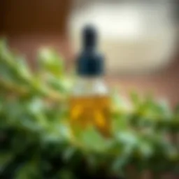 A close-up view of rosemary essential oil in a small dropper bottle surrounded by fresh rosemary sprigs.