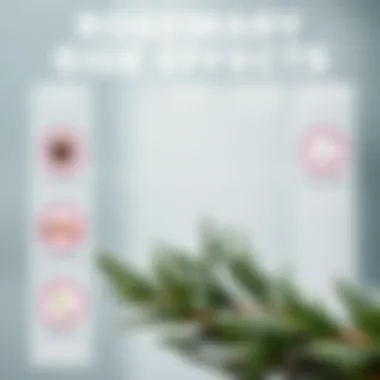 Rosemary Side Effects Infographic An infographic illustrating potential side effects of rosemary