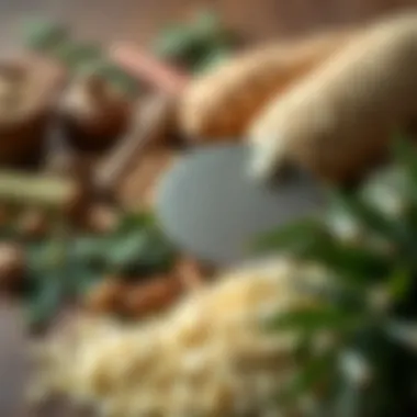 Herbal Ingredients for Natural Beauty Routines An arrangement of herbal ingredients including tea tree leaves for beauty routines