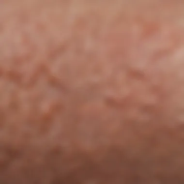 Close-up view of rough skin texture