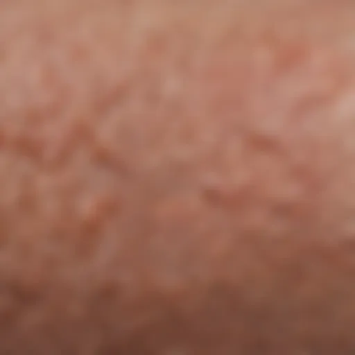 Close-up view of rough skin texture