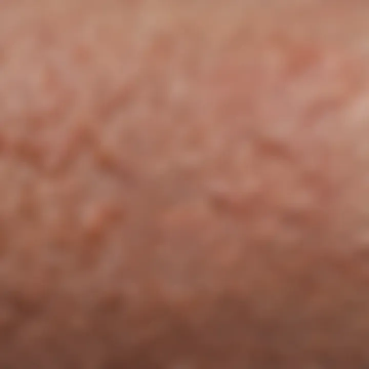 Close-up view of rough skin texture