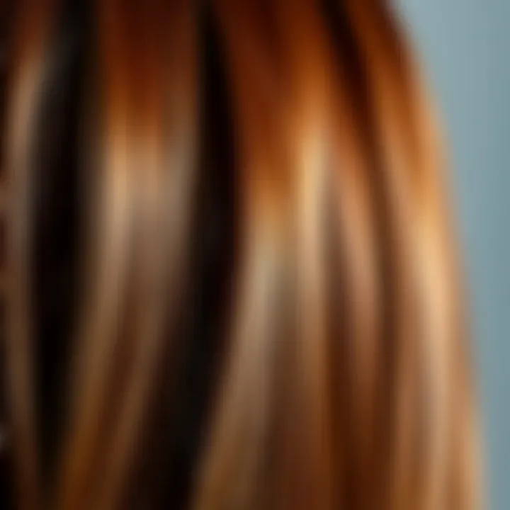 Close-up of freshly dyed hair showcasing shine