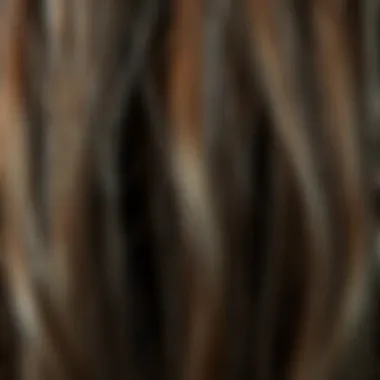 Close-up of damaged hair strands