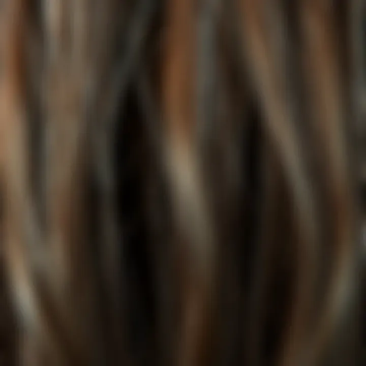 Close-up of damaged hair strands