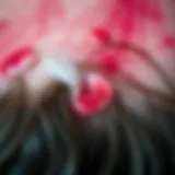 Close-up of irritated scalp showing redness