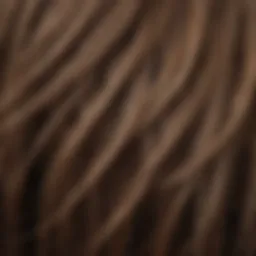 Close-up of damaged hair strands emphasizing split ends.