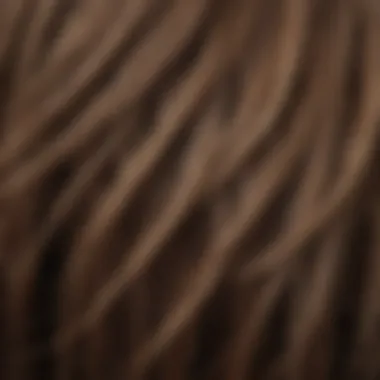 Close-up of damaged hair strands emphasizing split ends.