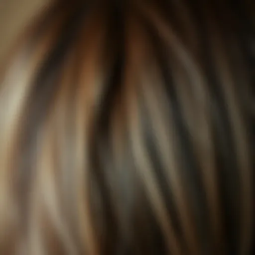A close-up view of healthy hair free from dandruff