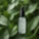 A serene bottle of hyaluronic acid serum surrounded by fresh green leaves