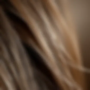 Close-up of hair strands with subtle highlights