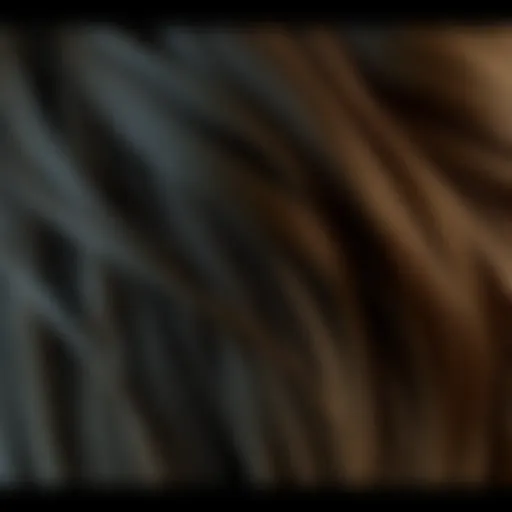 Density Comparison of Thick Hair Thick hair strands showcasing the difference in density