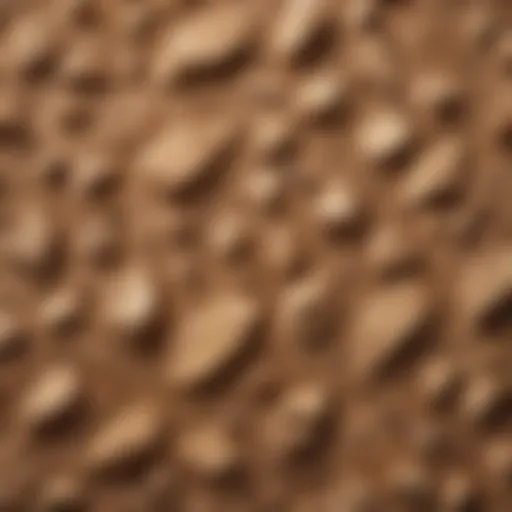 A close-up view of foundation textures