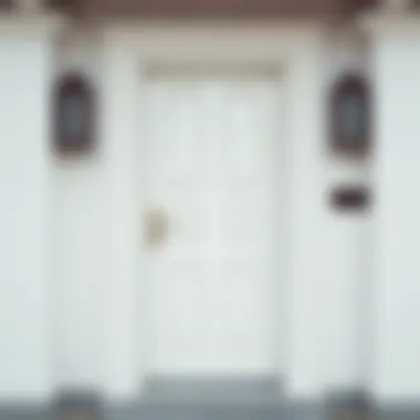 Neutral-colored door blending seamlessly with surroundings