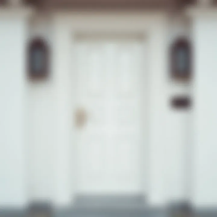 Neutral-colored door blending seamlessly with surroundings