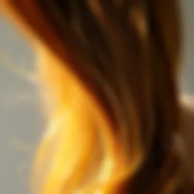 Vibrant Hair Enhanced by Natural Oils A healthy strand of hair shining under natural light, emphasizing vitality