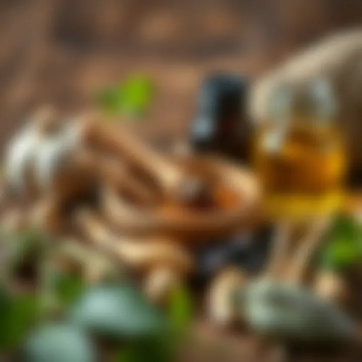 Natural Ingredients for Optimal Hair Care Ingredients of a hair care mixture featuring black garlic oil, herbs, and essential oils