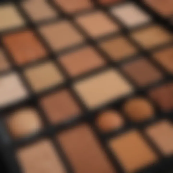 A palette displaying various caramel shades suitable for different skin tones.