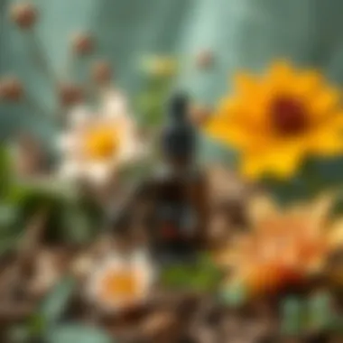 Ant oil bottle on a background of botanical elements