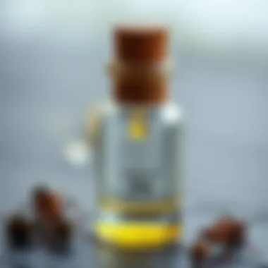 Natural ant oil in a glass container