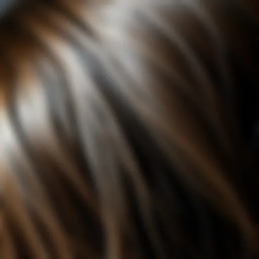 Illustration of keratin structure in hair