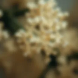 The molecular structure of collagen