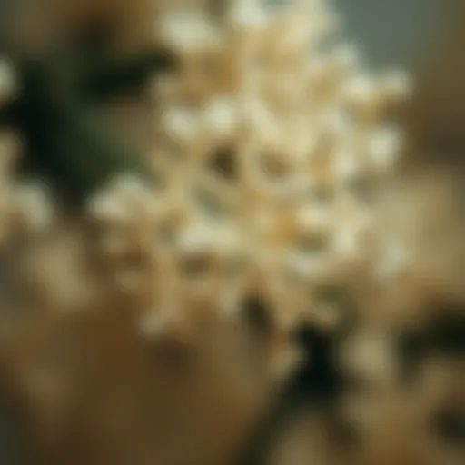 The molecular structure of collagen