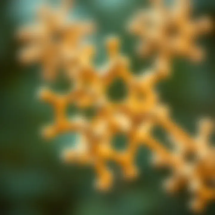 Molecular Structure of Collagen An illustration showing the molecular structure of collagen.