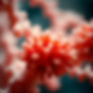 Types of Collagen Visual representation of different types of collagen