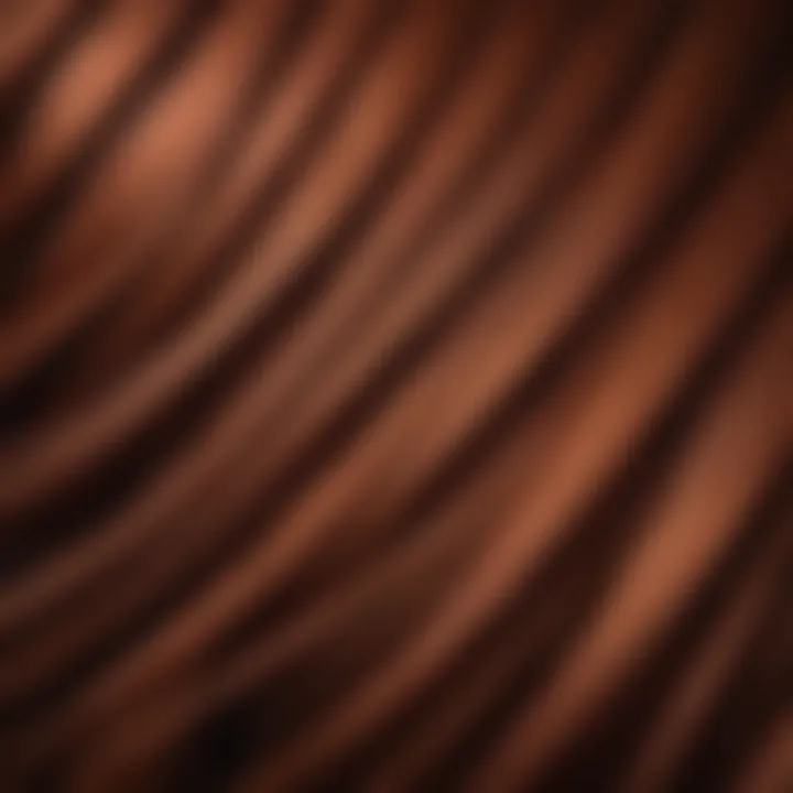 Close-up of dark copper hair texture