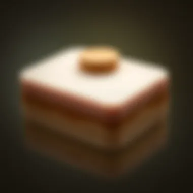 An elegant graphic showing the skin layers being rejuvenated through dry brushing.