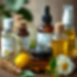An assortment of natural oils beneficial for skin hydration