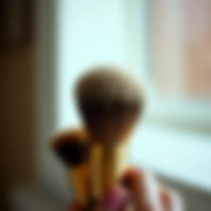 Maintenance tips for horsehair brushes