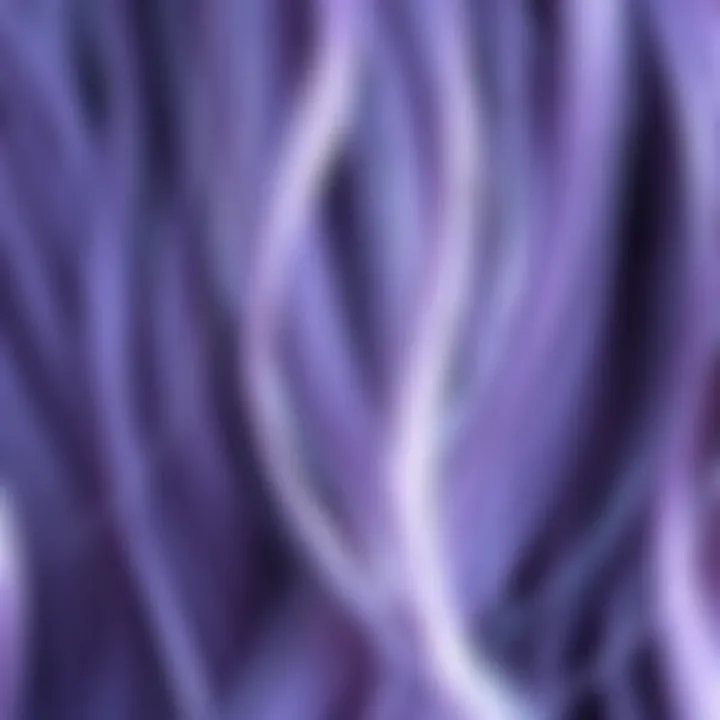 Elegant Lavender Highlights A close-up view of hair strands dyed in lavender, illustrating the subtle yet elegant tone of purple.