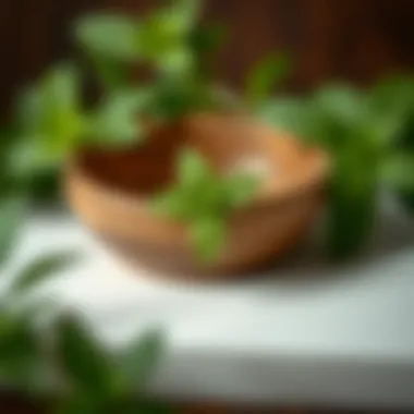 Fresh mint leaves for skincare