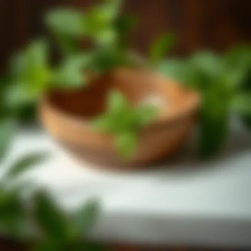 Fresh Mint Leaves for Skincare Fresh mint leaves for skincare