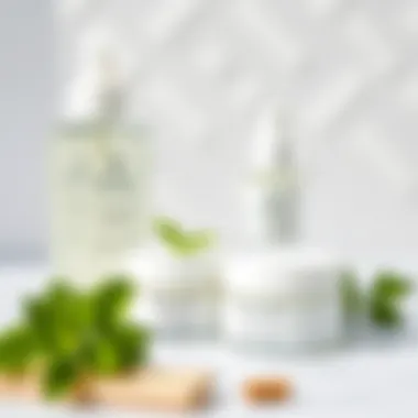 Natural Skincare Products with Mint Natural skincare products displayed with mint