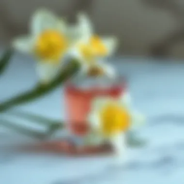 Fragrant Composition of Narcissus Narcissus fragrance notes depicted artistically