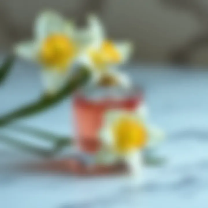 Fragrant Composition of Narcissus Narcissus fragrance notes depicted artistically