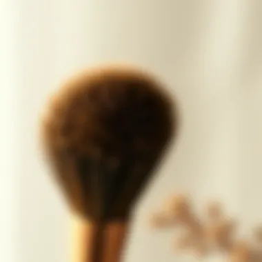 Natural alternatives to horsehair brushes