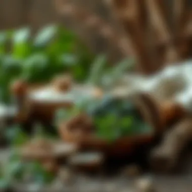 Natural herbs displayed in a rustic setting