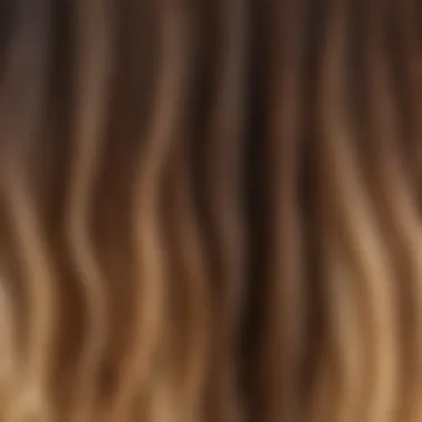 A close-up view of hair strands demonstrating different textures suitable for ombre coloring.