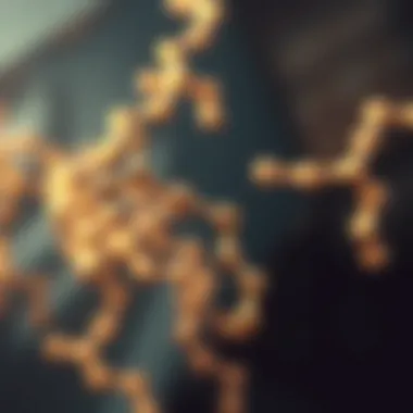 Understanding Peptide Structure and Function Illustration of peptide structure and its function