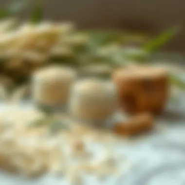 Natural Ingredients of the Rice Mask Rice mask ingredients showcasing their natural properties