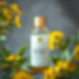 Overview of St. John's Wort Oil and its benefits